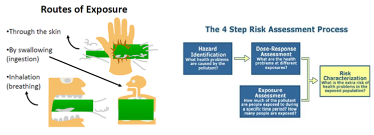 유해물질에 대한 인체 노출 평가